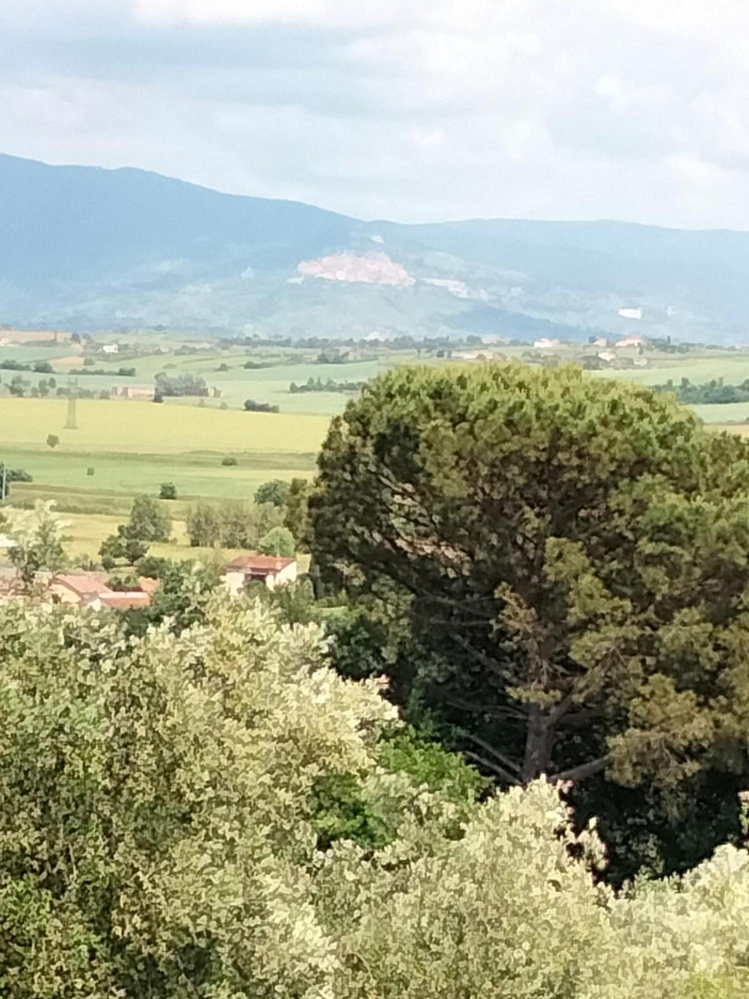 Villa Spaccasole su Cortona Foiano Della Chiana Esterno foto
