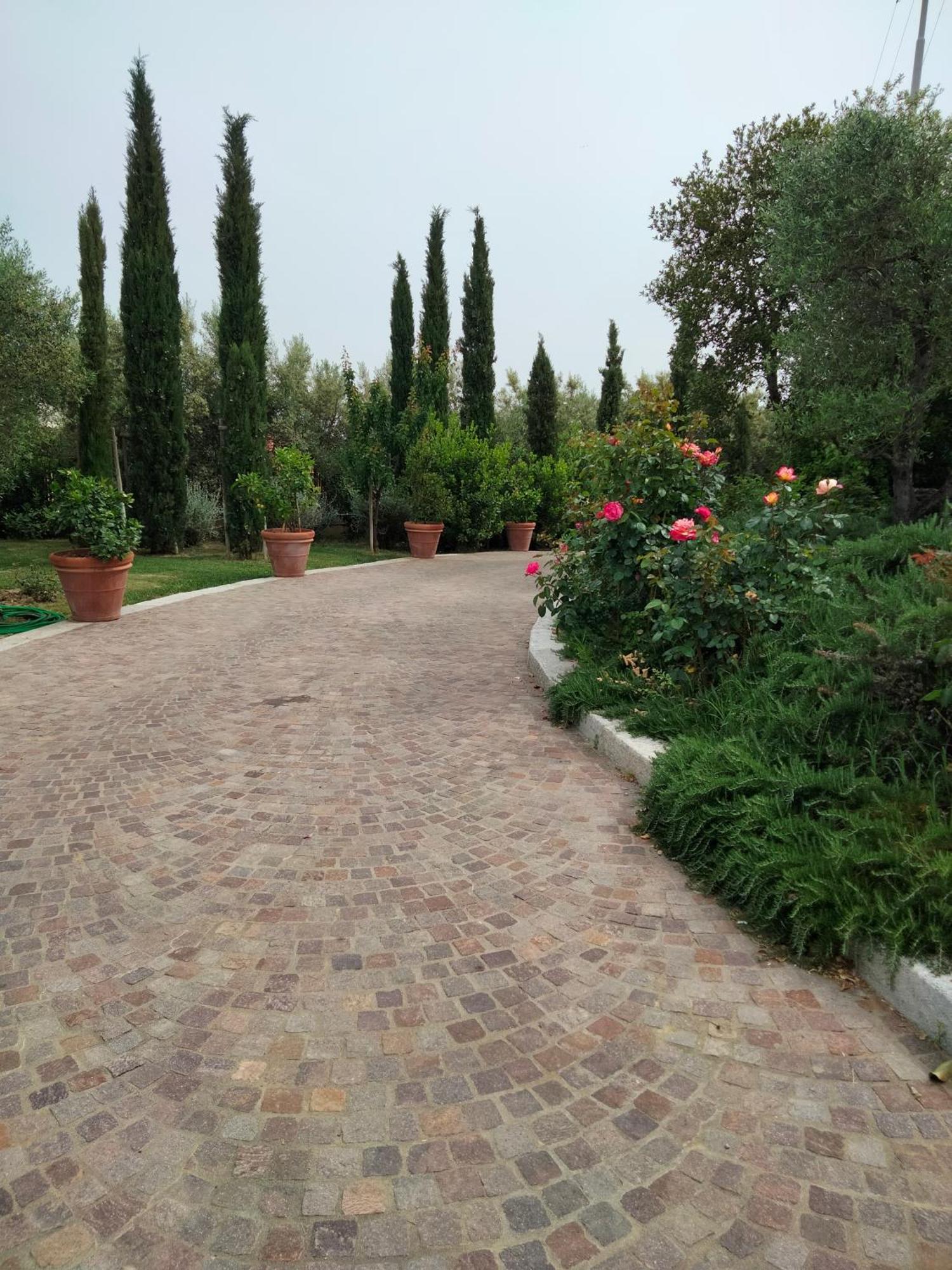 Villa Spaccasole su Cortona Foiano Della Chiana Esterno foto