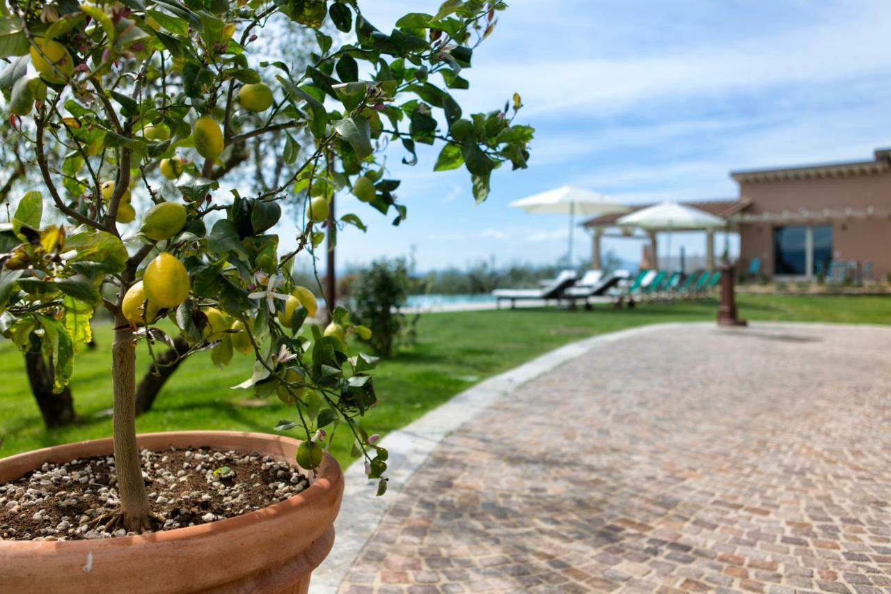 Villa Spaccasole su Cortona Foiano Della Chiana Esterno foto